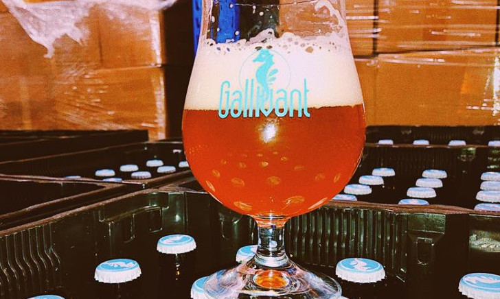 Gallivant Blonde Amber